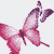 InDesign Server CS2